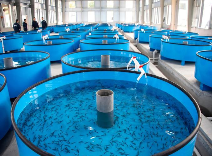 特种水产如何高效养殖？-图2