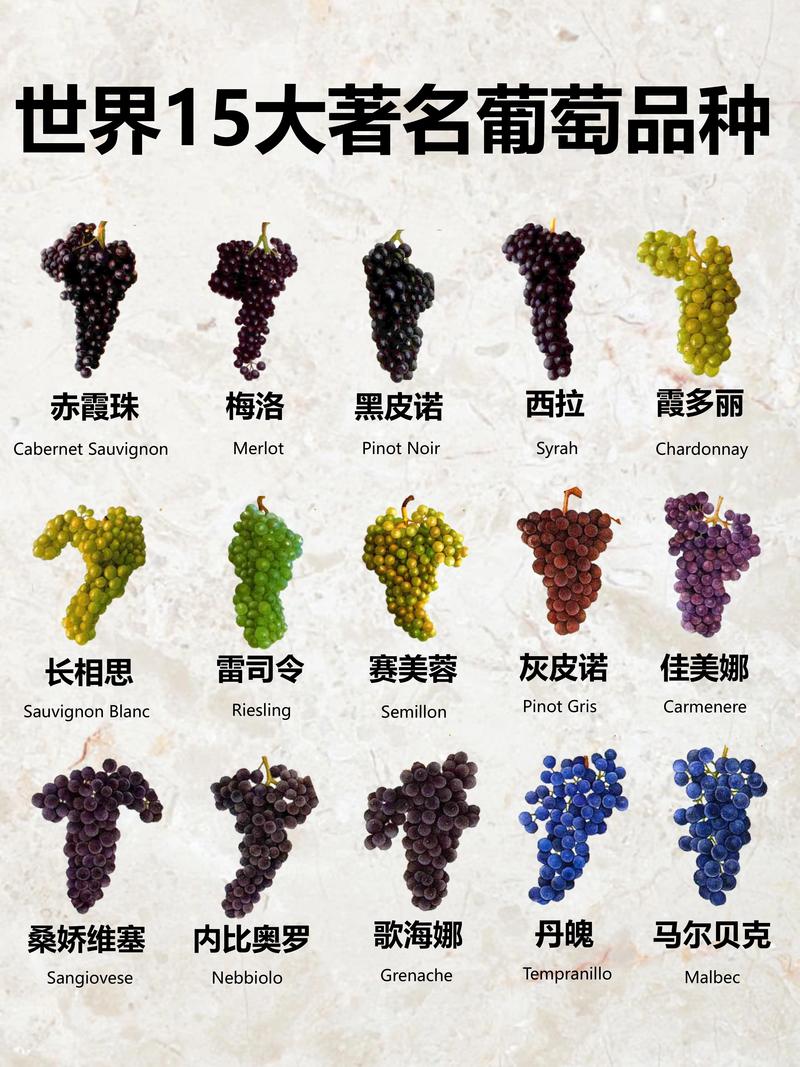 葡萄哪些品种容易裂果-图2