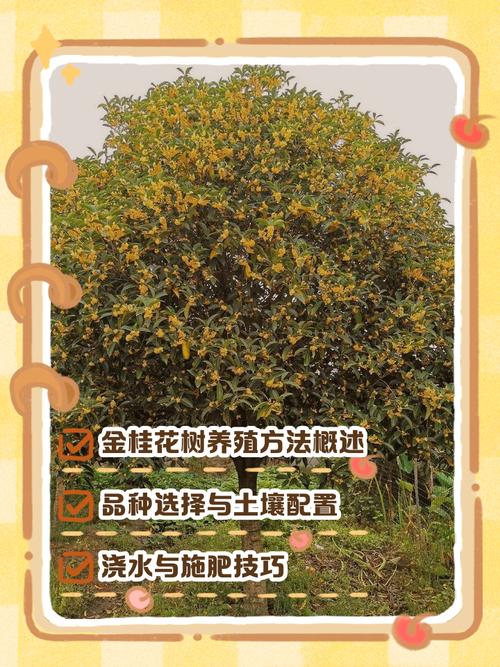 湖北桂花栽培繁殖技术有哪些关键要点？-图2