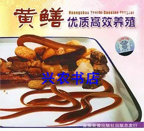 黄鳝养殖技术视频，新手怎么学？-图2