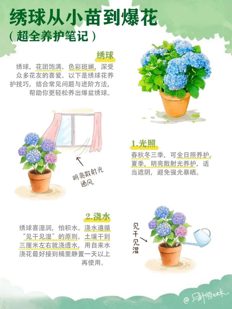 花卉种植技术有哪些关键要点？-图2