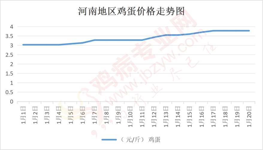 今日河南鸡蛋价格是涨还是跌？-图1