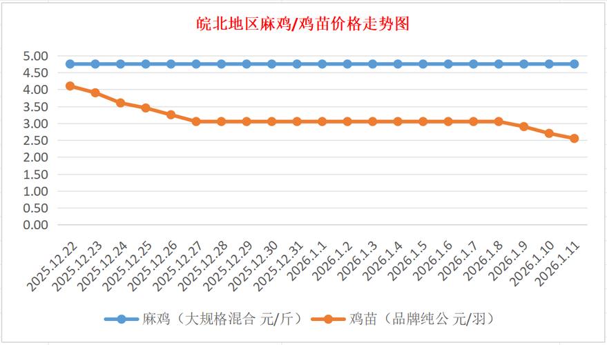 今日817肉鸡苗价格多少？-图1