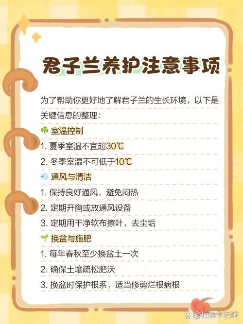 荷兰进口兰花养殖技术有何要点？-图3