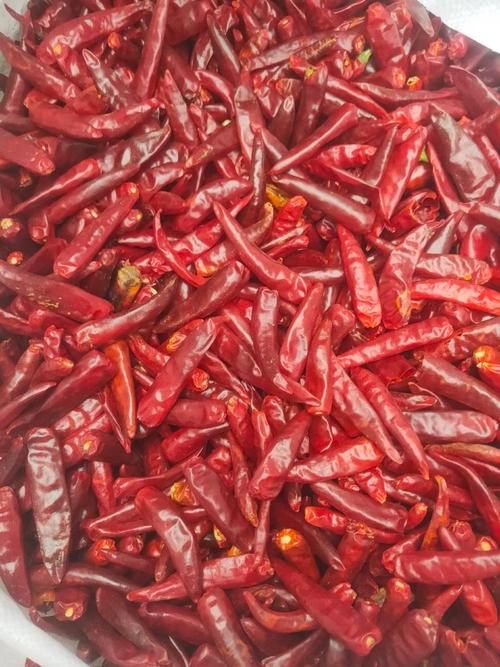 河南临颖今天辣椒价格-图3