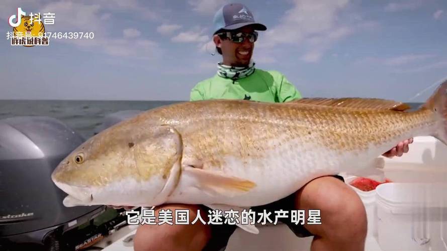 美国红鱼价格为何波动？-图2