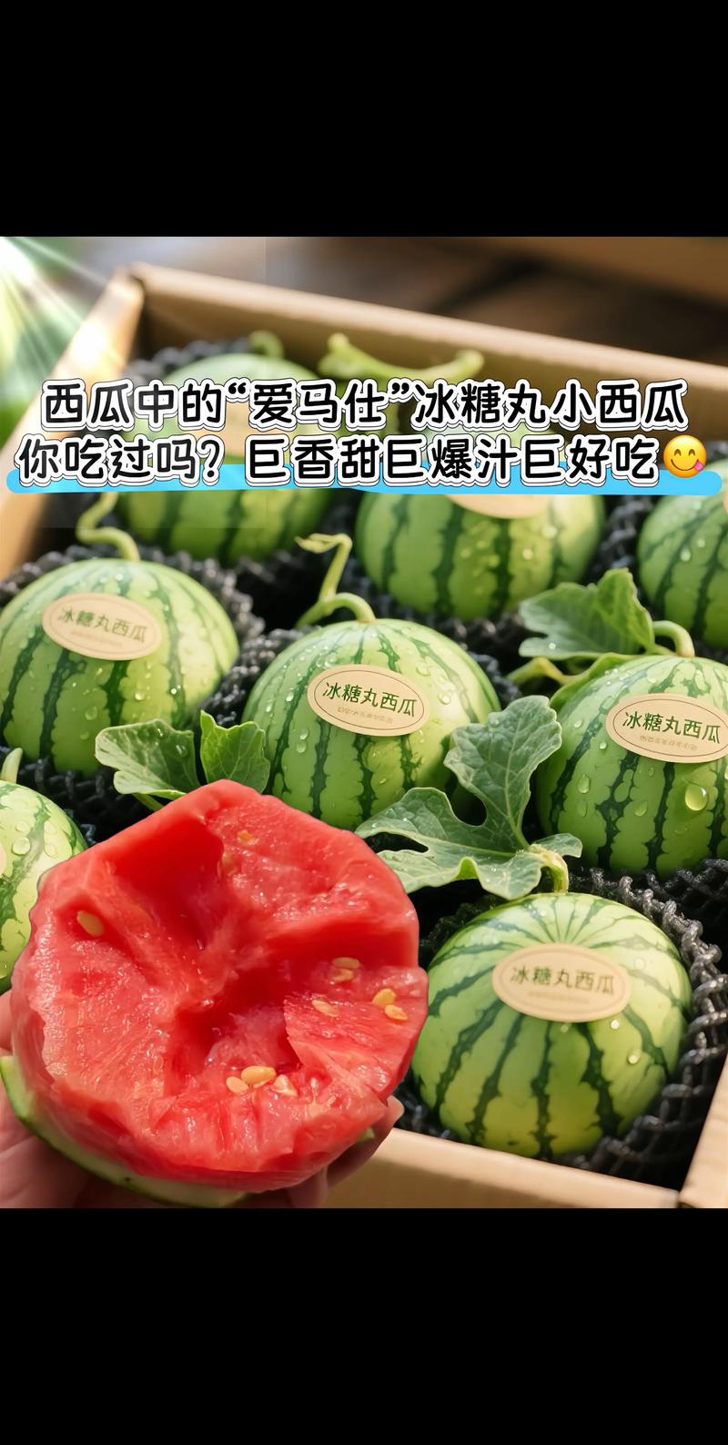 小型西瓜品种有哪些？-图2