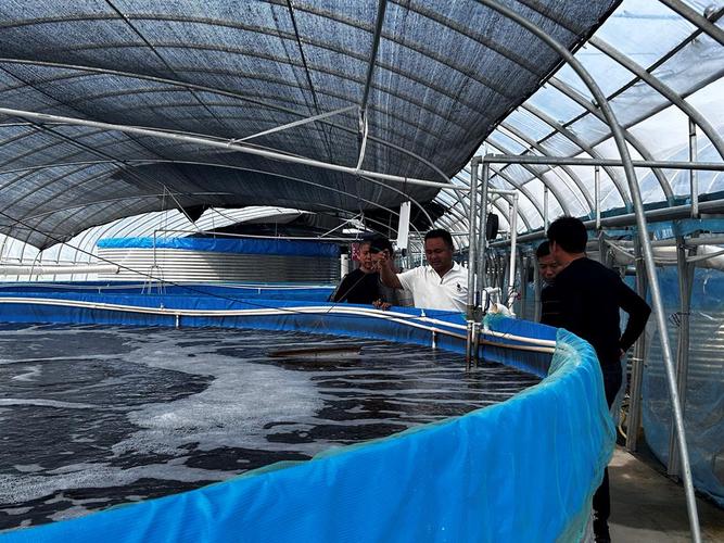 网箱养殖南美对虾技术要点有哪些？-图3