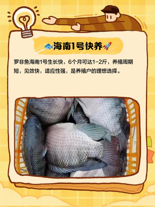 海南淡水养殖什么品种-图3