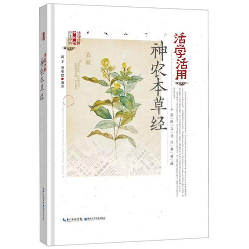 中央每日农经推荐品种是什么？-图2