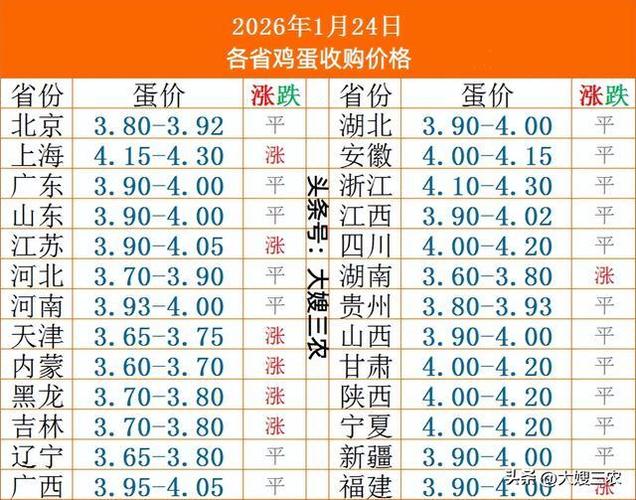 山东今日全省鸡蛋价格-图3