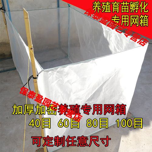 网箱水花鱼苗培育技术要点有哪些?-图1 网箱水花鱼苗培育技术要点有哪些?-图1