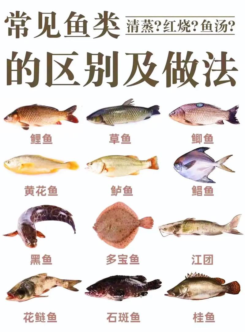 常见海水养殖鱼类有哪些品种？-图1