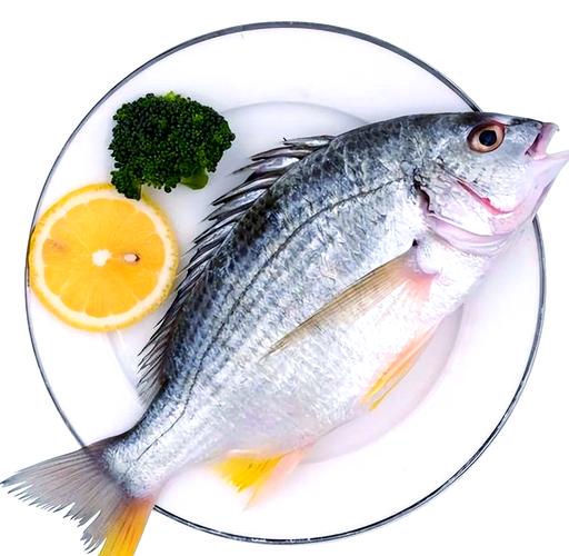 常见海水养殖鱼类有哪些品种？-图2