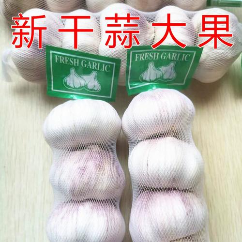 2025年蒜头价格几-图2