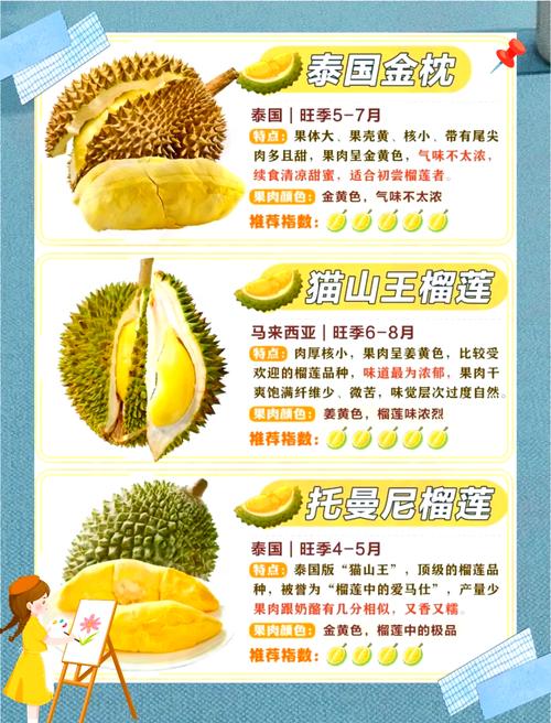 现在榴莲都有哪些品种？-图3