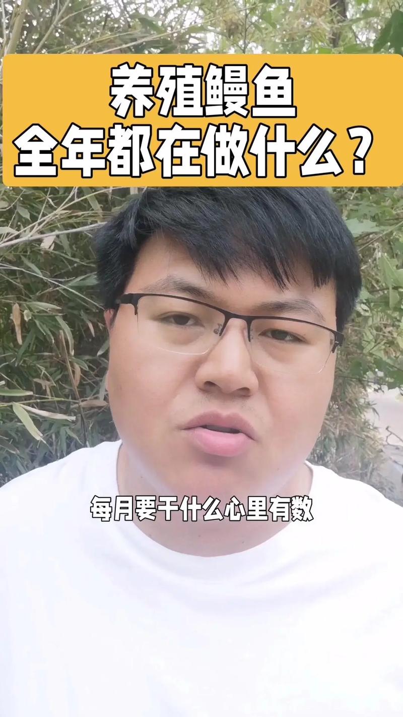 鳗鱼淡水养殖技术有哪些关键点？-图1