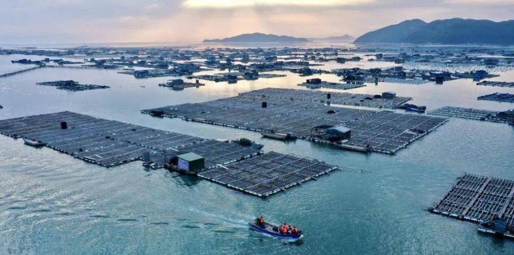 湖北水产养殖品种分布有何特点？-图2