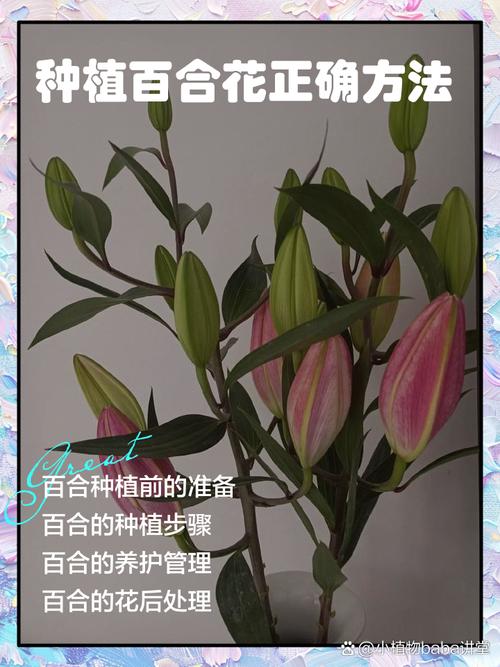 想学种花技术，去哪里学最靠谱？-图3