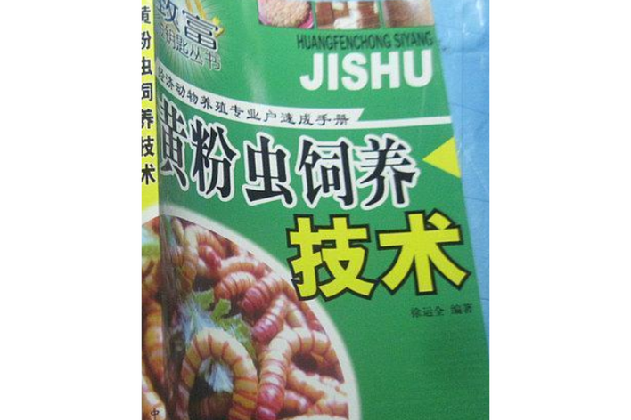 黄粉虫养殖技术有哪些关键要点？-图2