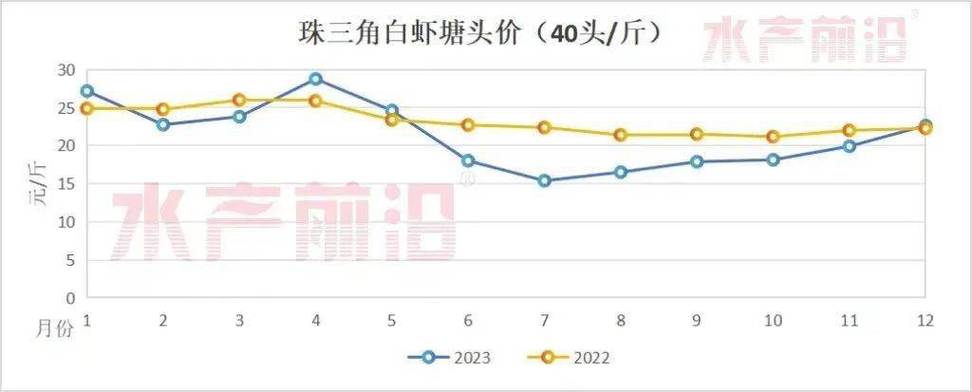 中国对虾价格哪里最高？-图2