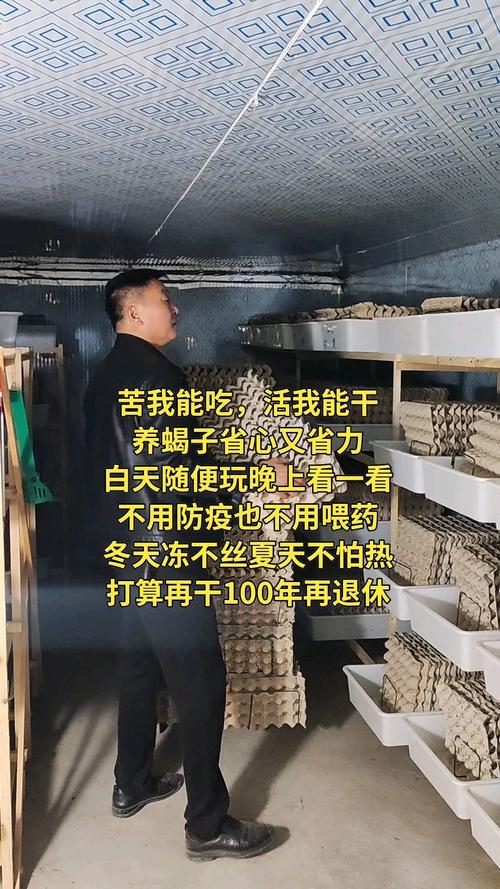 云南蝎子养殖利润技术,真如传说中暴利吗?-图1 云南蝎子养殖利润技术,真如传说中暴利吗?-图1