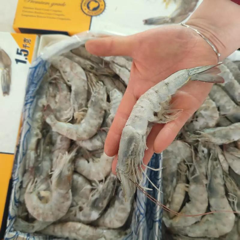 天津青虾产地价多少钱一斤？-图1