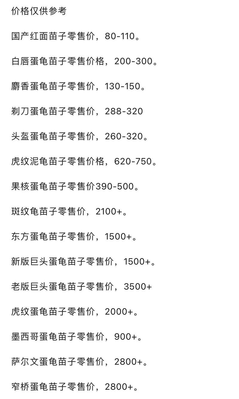 20414金钱龟价格为何这么高？-图3