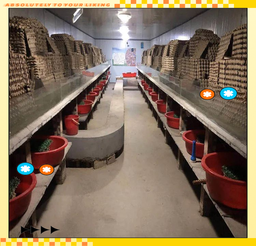 德阳蝎子养殖如何致富？技术门槛高吗？-图3