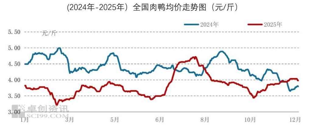 今日河南白羽肉鸡价格是涨还是跌？-图1