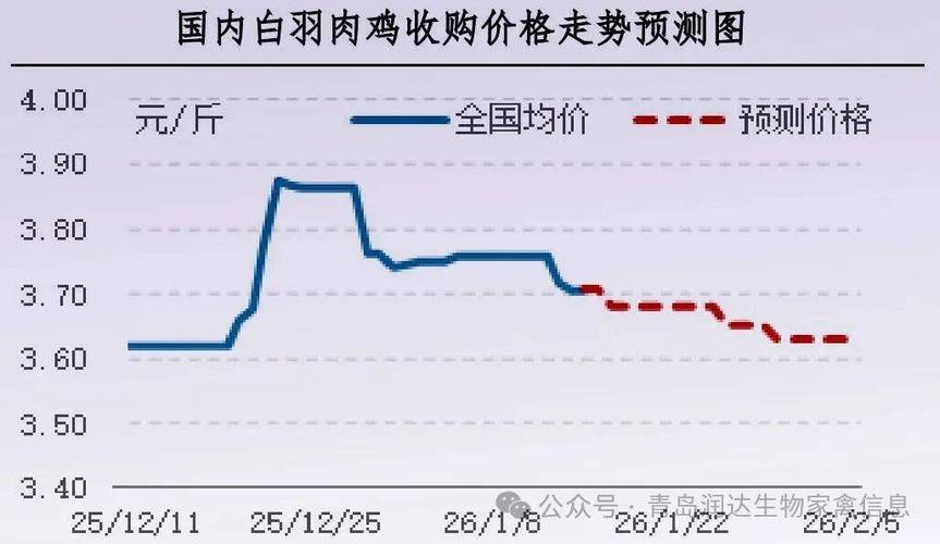 今日河南白羽肉鸡价格是涨还是跌？-图3