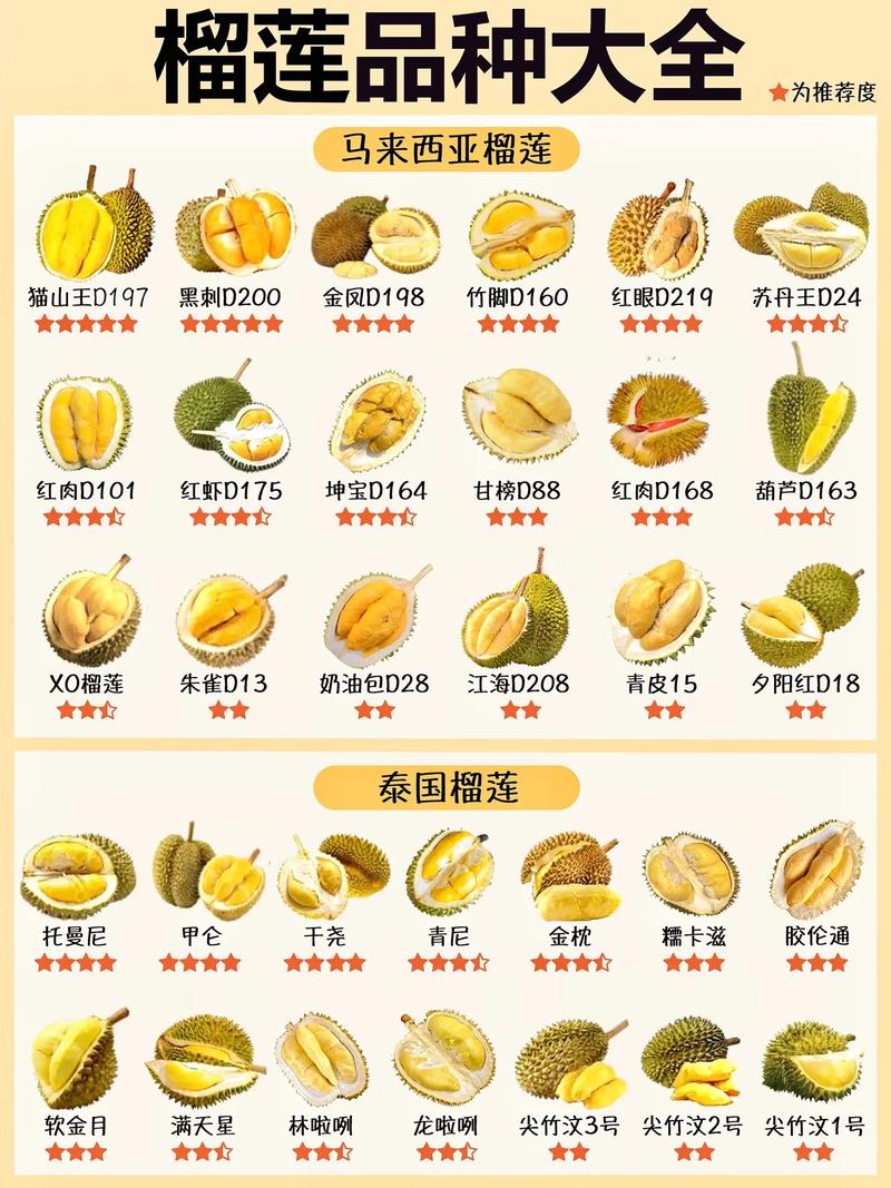 常见榴莲品种有哪些？-图1