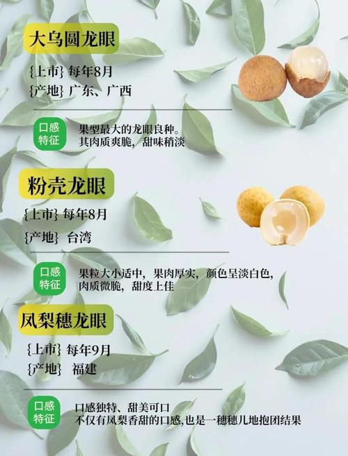 龙眼品种有哪些？图片欣赏带你认。-图2