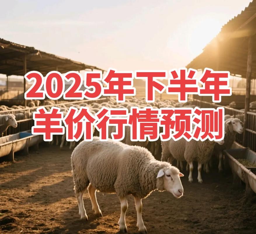 2025年羊价会涨还是会跌？-图2