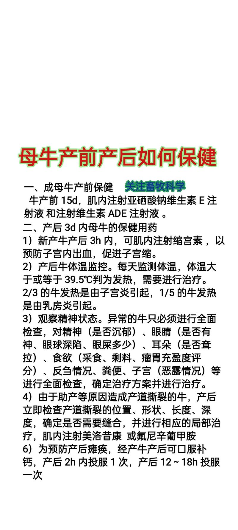 养牛技术200条,哪些是新手必学关键?-图3 养牛技术200条,哪些是新手必学关键?-图3