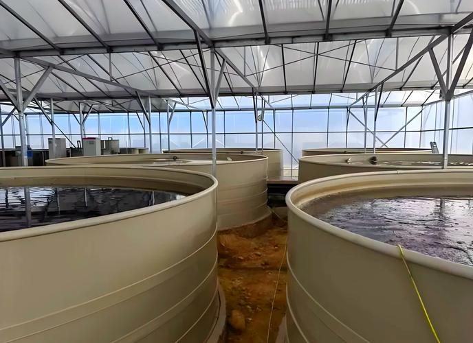 室内淡水水产养殖技术难点有哪些？-图1