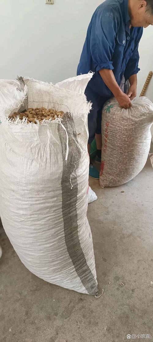 收购花生价格最新行情-图1