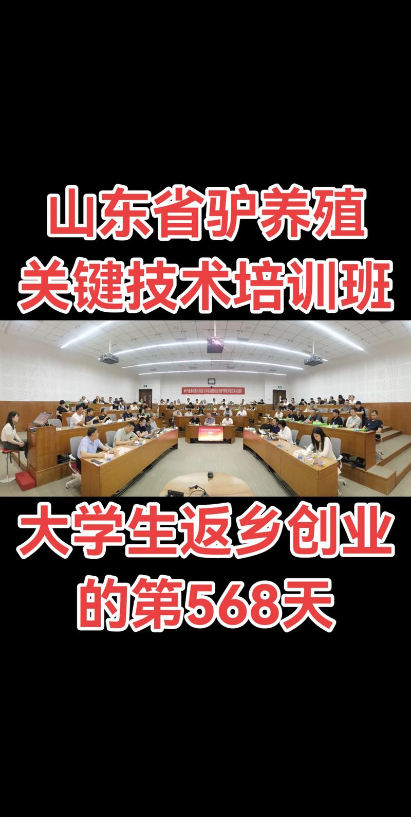 山东哪里可以养殖技术-图2 山东哪里可以养殖技术-图2