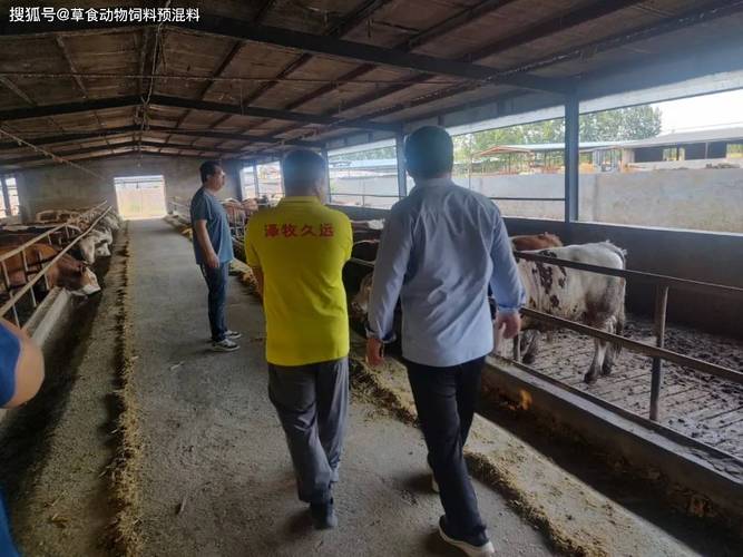 山东哪里可以养殖技术-图3 山东哪里可以养殖技术-图3