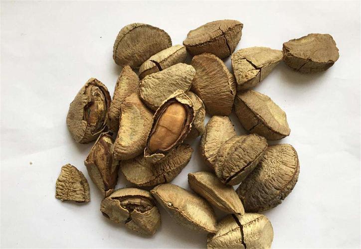 南方适合种植哪些干果品种？-图2