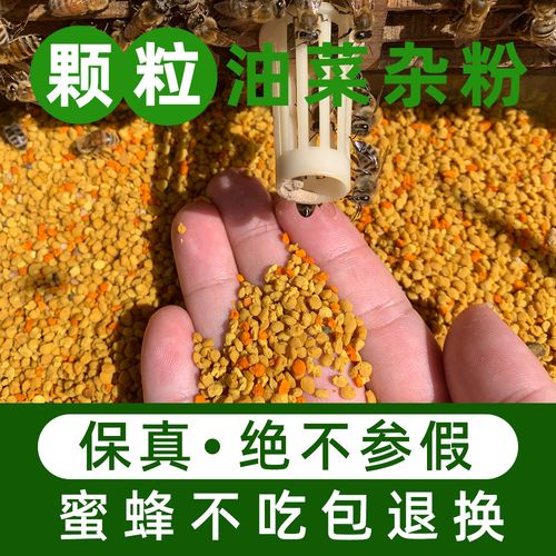 山东龙口蜜蜂饲料多少钱一斤？-图3
