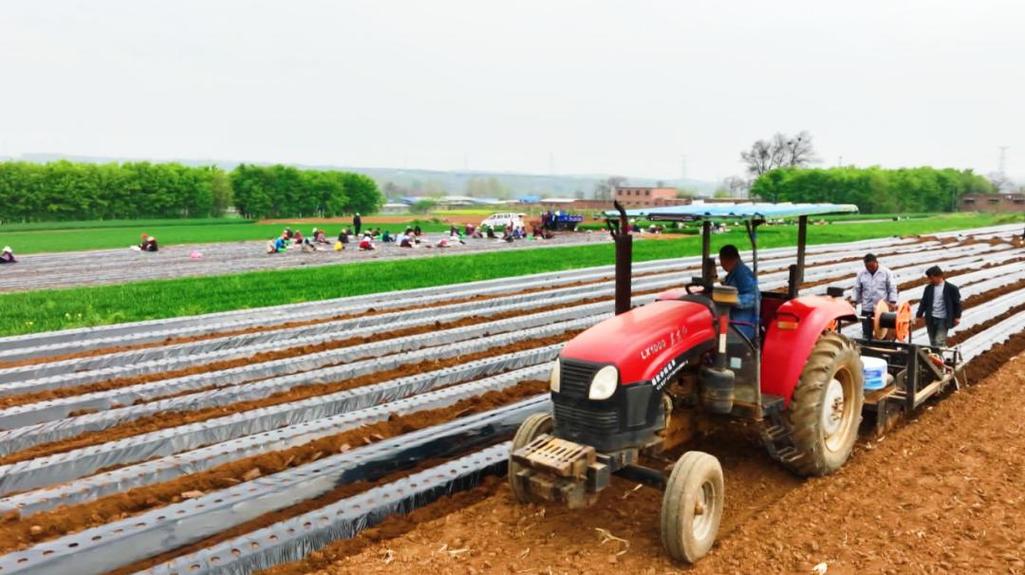 每日农经栽植技术视频有哪些实用技巧？-图1