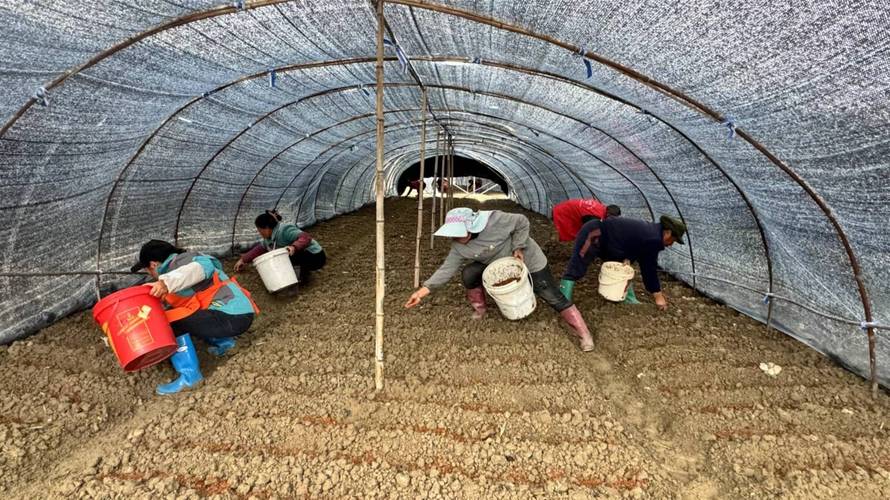 每日农经栽植技术视频有哪些实用技巧？-图3