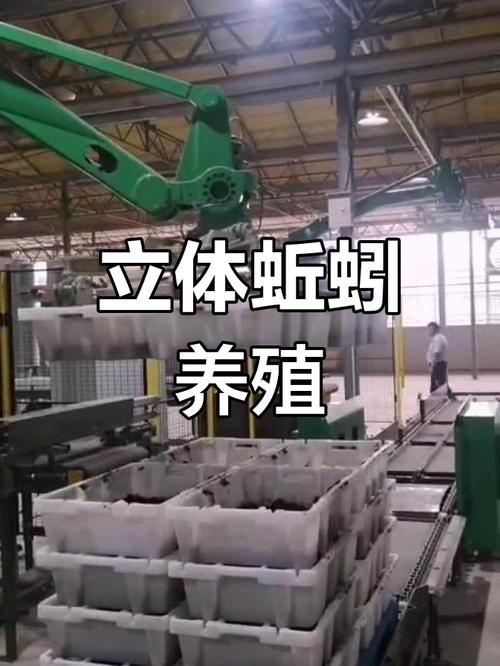 室内立体养殖蚯蚓技术如何高效应用？-图1