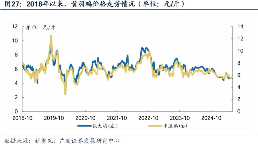 2025毛鸡价格为何持续下滑？-图1