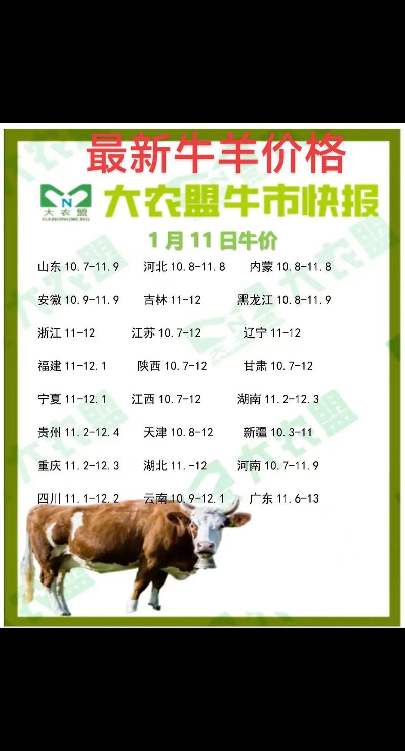 2025牛羊价格行情-图2