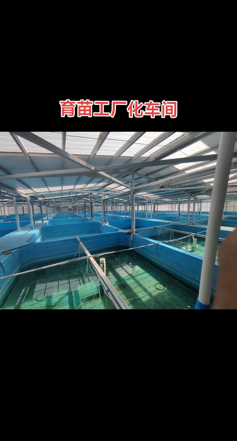 水产养殖技术哪里学最好？-图2