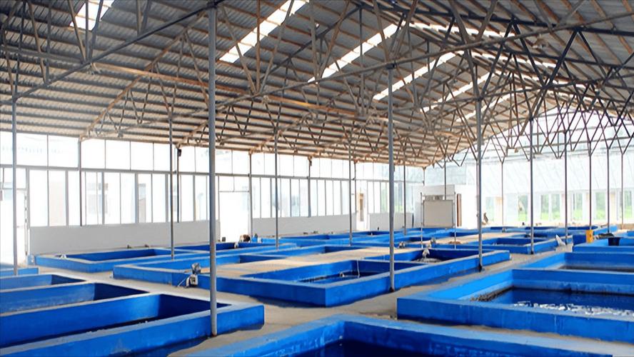 水产养殖技术哪里学最好？-图3