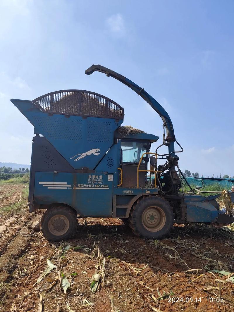 东北玉米秸秆青贮技术怎么做？-图3