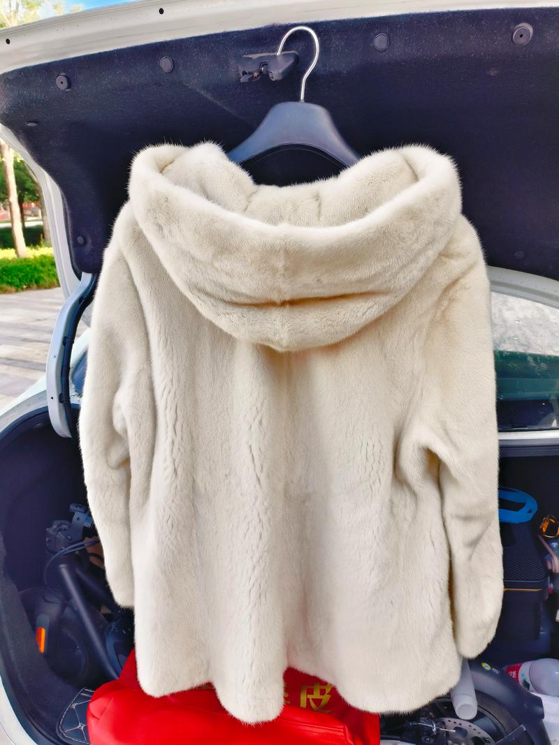 2025貂皮价格会涨还是跌？-图3